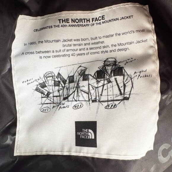 NWT The North Face "GTX Mountain Jacket" in "Gravel", size Medium - Picture 10 of 12